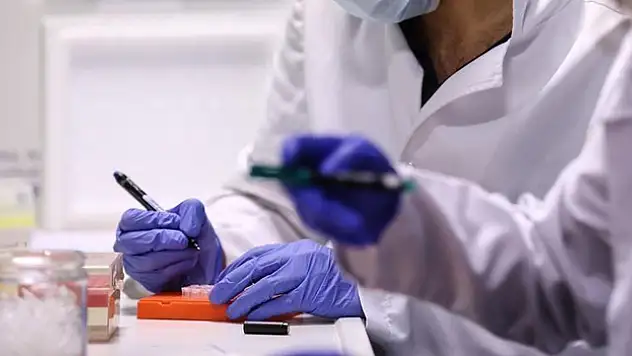 DSÖ, Kovid-19'un 'BA.2.86' varyantını 'gözlem altındaki varyant' olarak güncelledi