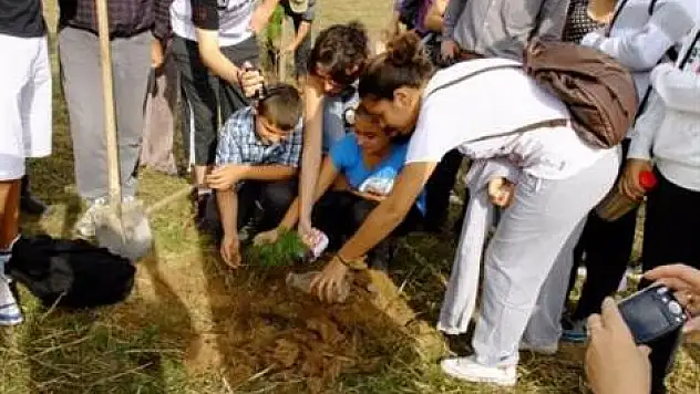 Üç ülkenin toprağıyla fidan diktiler