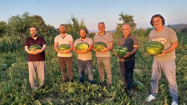 Vezirköprü Ovası'nda alternatif ürün 'karpuz'