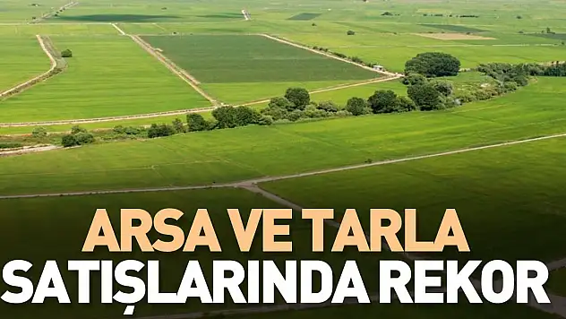Arsa ve tarla satışlarında rekor kırıldı