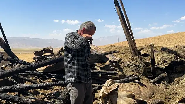 Yangında 7 ineğini kaybeden vatandaş hüngür hüngür ağladı