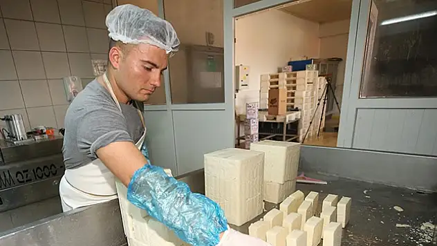 Ezine peynirinin AB'de tescili için gün sayılıyor