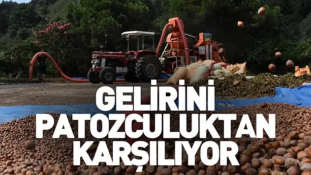 İlerleyen yaşına rağmen fındık patozculuğu yapmaya devam ediyor