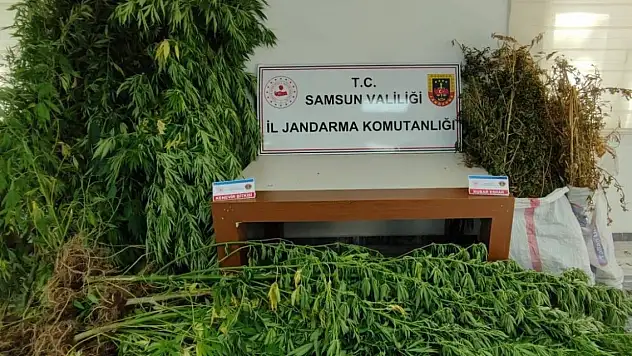 Samsun'da uyuşturucu operasyonunda iki şüpheli yakalandı