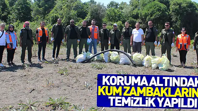 Samsun'da koruma altındaki kum zambaklarının doğal alanlarında temizlik yapıldı