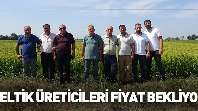 Çeltik üreticileri açıklanacak fiyatları bekliyor