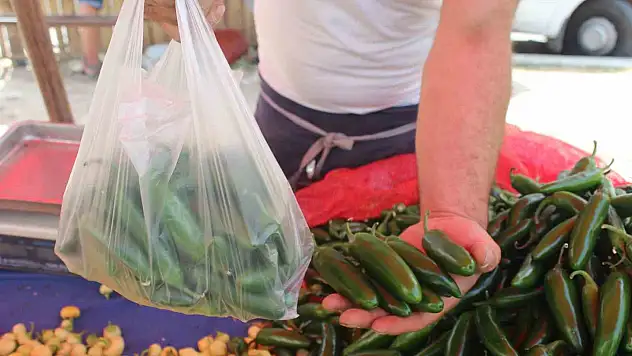 (ÖZEL) Bu yıl turşuluk ürünlerde acı biber revaçta