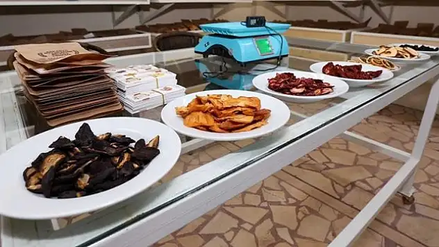 Sakarya'da yıllık 10 bin ton kurutulmuş meyve ve sebze üretimi hedefleniyor