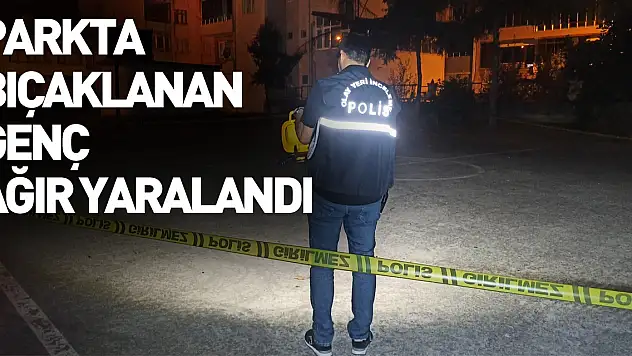 Parkta bıçaklanan genç ağır yaralandı