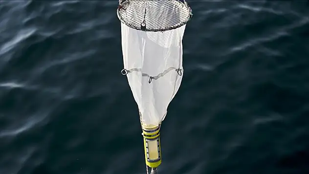 Marmara Denizi'nde oksijen azalıyor, sıcaklık artıyor