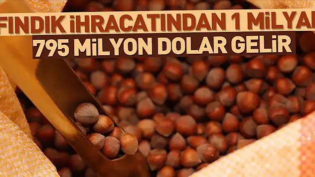 Türkiye'nin fındık ihracatı 1 milyar 795 milyon dolar olarak gerçekleşti