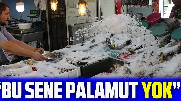 'Bu sene palamut yok'