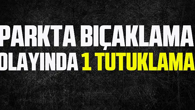Parkta bıçaklama olayında 1 tutuklama