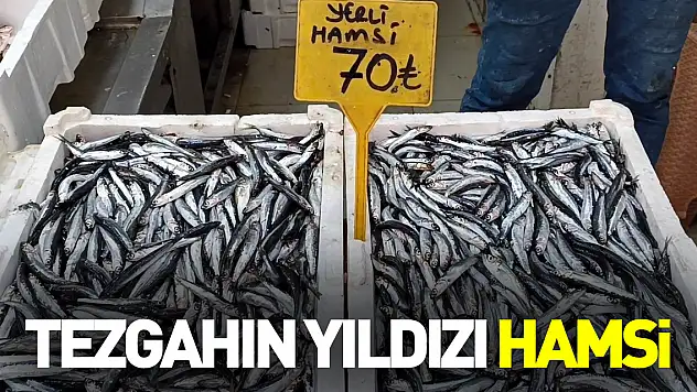Balıkçı tezgahının bu sezonki starı 'hamsi'