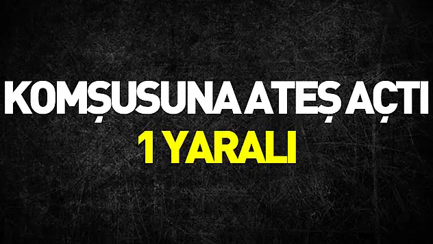 Komşusuna tüfekle ateş etti: 1 yaralı