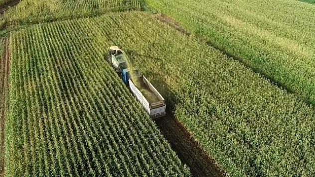 Çiftçilere bu yıl için ödenecek tarımsal destekler belli oldu