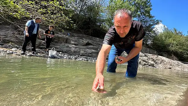 Akarsu ıslahı çalışmasında suya çimento karışınca binlerce balık telef oldu