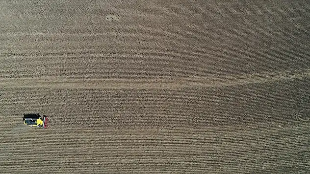 Ayçiçeğinden beklediği verimi alamayan Trakya çiftçisi hububat ekimi öncesi endişeli