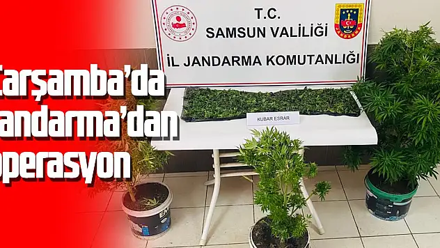 Jandarma'dan operasyon