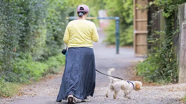 Avrupa'da binlercesi terk ediliyor ama sokaklarda sahipsiz hayvanlara rastlanmıyor