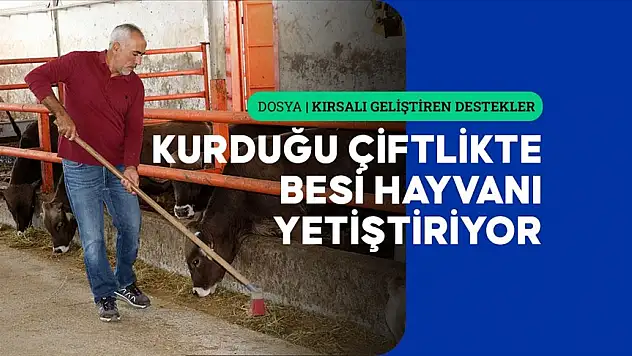 Sivaslı öğretmen TKDK desteğiyle kurduğu çiftlikte besi hayvanı yetiştiriyor