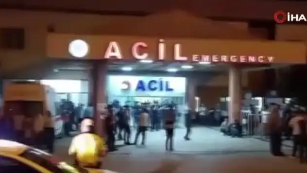 Domuz sürüsüne ateş ederken arkadaşını öldürdü