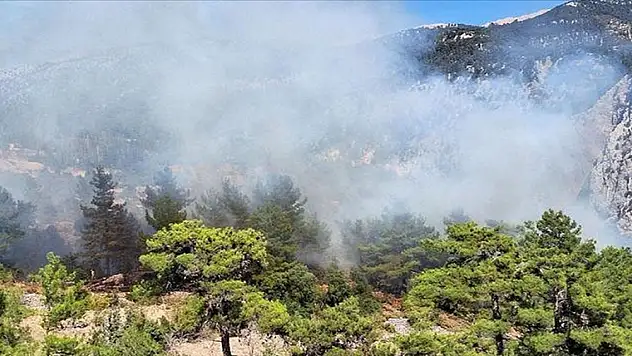 Antalya'nın Kaş ilçesinde orman yangını çıktı