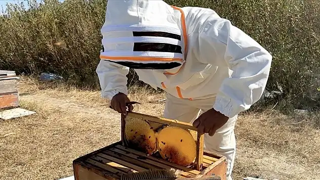 Türkiye Arıcılık Haritası güncellendi
