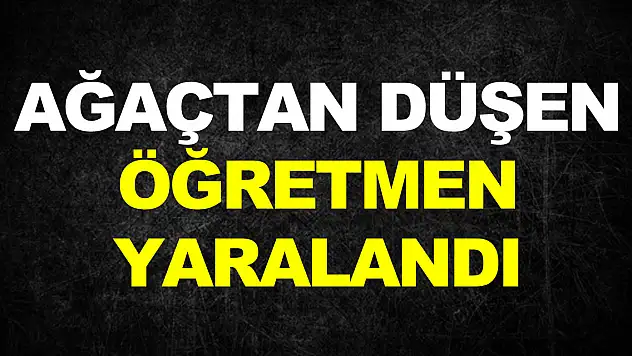 Çıktığı ağaçta 8 metre yükseklikten düşen öğretmen yaralandı