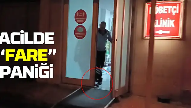 Acil polikliniğine giren fare panik oluşturdu