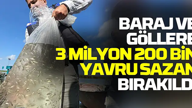 Samsun'da baraj ve göllere 3 milyon 200 bin sazan yavrusu bırakıldı