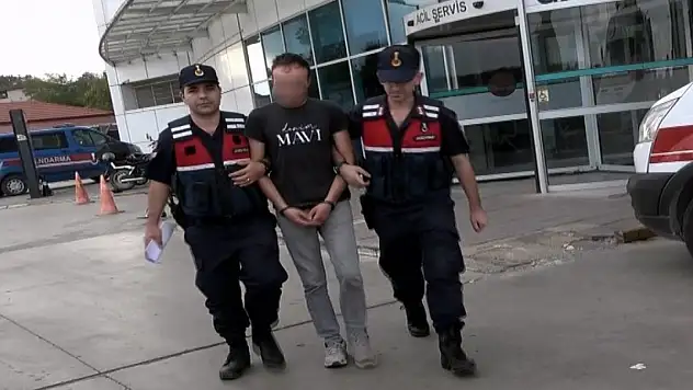 Silahla 3 büyükbaş hayvanı telef eden şahıs tutuklandı