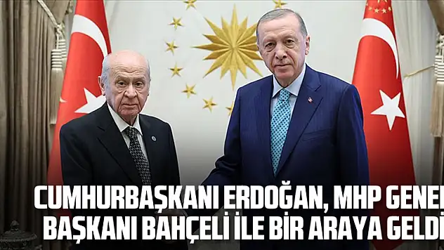 Cumhurbaşkanı Erdoğan, MHP Genel Başkanı Bahçeli ile bir araya geldi