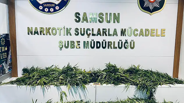 Samsun'daki uyuşturucu operasyonunda 3 zanlı yakalandı