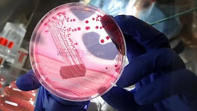 Uluslararası yumurtalık kanseri uygulaması 'Olivia' Türkçe de hizmet verecek