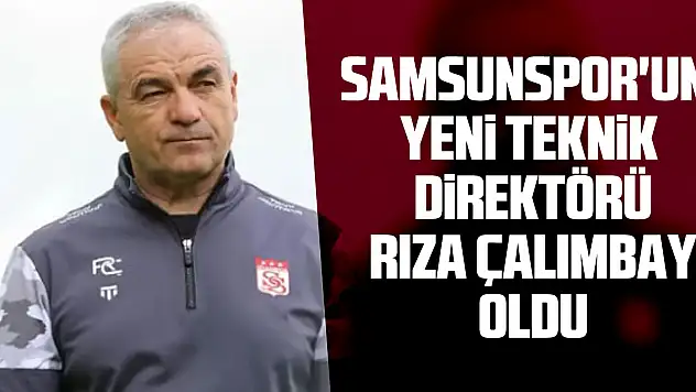 Samsunspor'un yeni teknik direktörü Rıza Çalımbay oldu