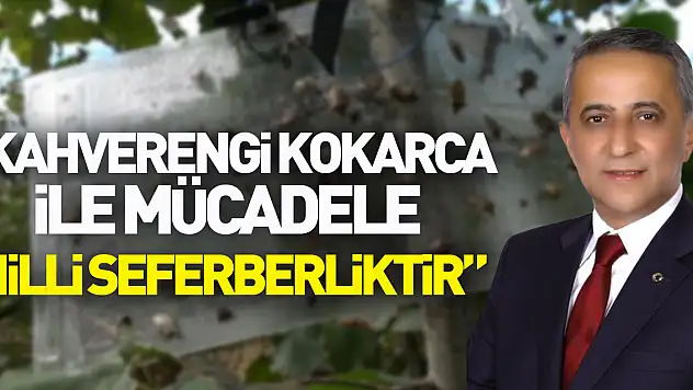 'Kahverengi kokarca ile mücadele milli seferberliktir'
