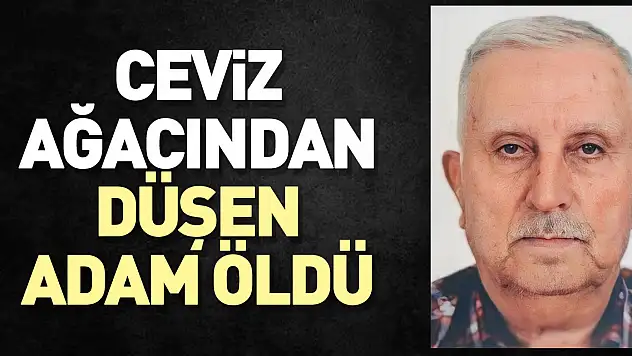 Ceviz ağacından düşen adam öldü