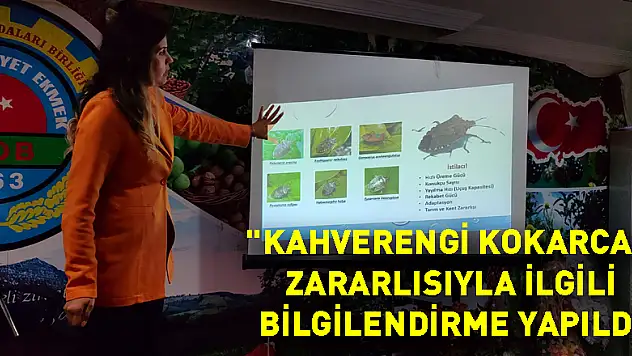 Salıpazarı'nda 'kahverengi kokarca' zararlısıyla ilgili bilgilendirme yapıldı