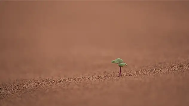 İklim krizleri su altyapısına yönelik küresel finansman ihtiyacını artırıyor