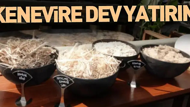 Kenevire dev yatırım