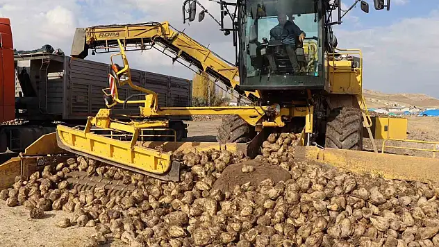 Şeker pancarı alım fiyatı ton başına bin 855 lira