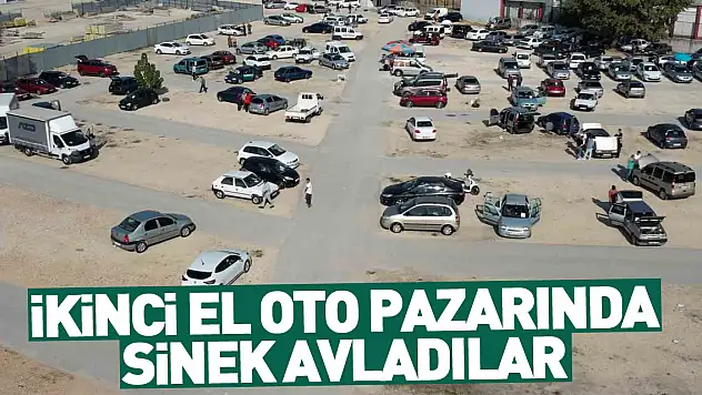 İkinci el oto pazarında sinek avladılar
