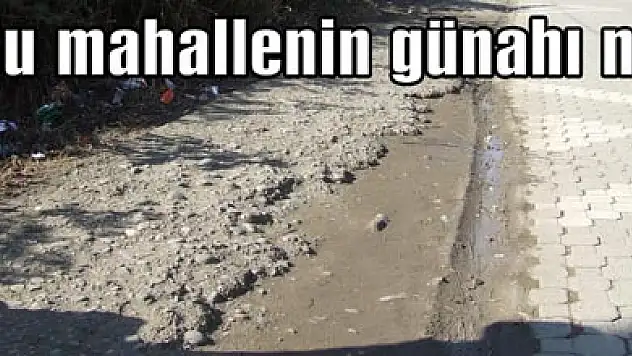 'Bu mahallenin günahı ne?'