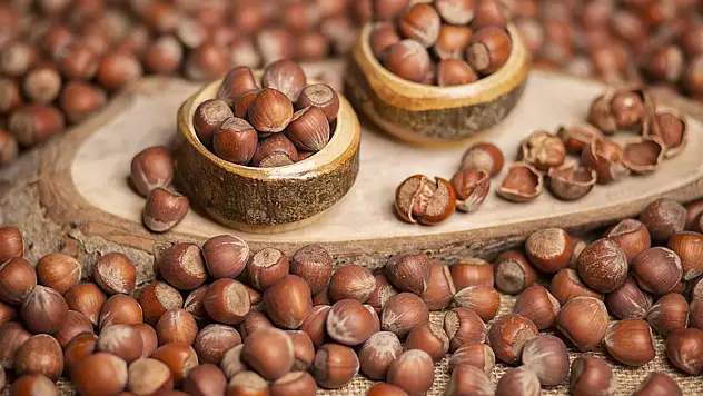 Samsun Ticaret Borsası fındık fiyatları