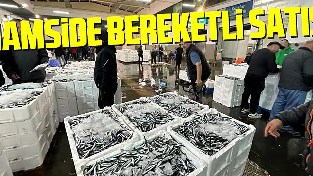 hamside bereketli satış