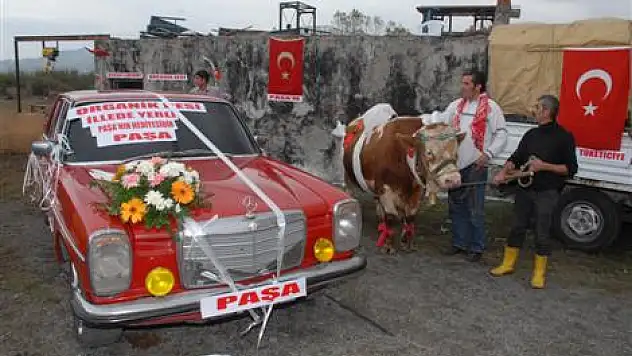 Kurbanlık alana Mercedes hediye