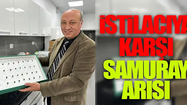İstilacıya karşı Samuray Arısı