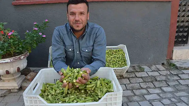 Aydın ekonomisine 5 ayda 50 milyon katkı sağlıyorlar