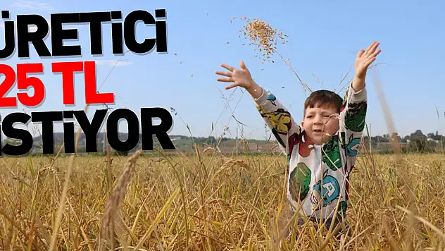 Üretici 25 TL istiyor